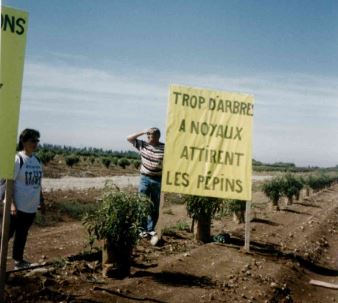 Des militants arborent uen banderole "trop d'arbres à noyaux attirent les pépins".
