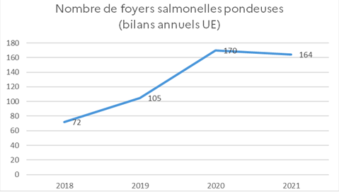 Le nombre de foyers de salmonelles en poules pondeuses a augmenté ces dernières années avec 164 foyers comptabilisés en 2021.