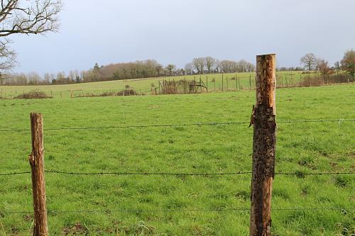 prairies entourées par des clôtures