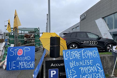 des panneaux "stop accord UE-Mercosur" devant des vaches face à un autre panneau "le libre échange délocalise, les paysans relocalisent", devant des voitures