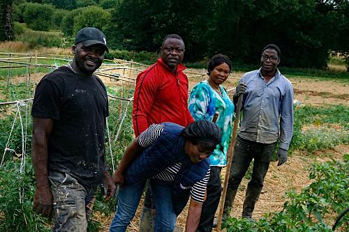 Trois hommes et deux femmes debout dans un champs regardent l'objectif