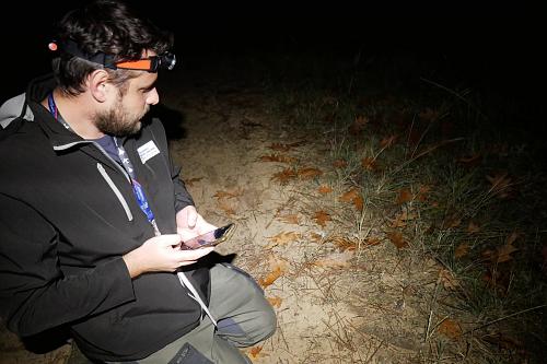 Un homme agenouillé au sol de nuit, il porte une lampe frontale et tient un smartphone.