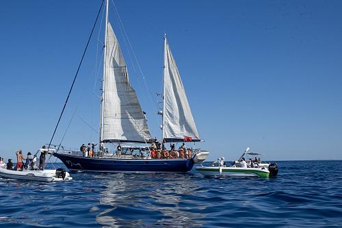 Un voilier en mer