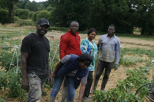Cinq femmes et hommes sur une parcelle agricole
