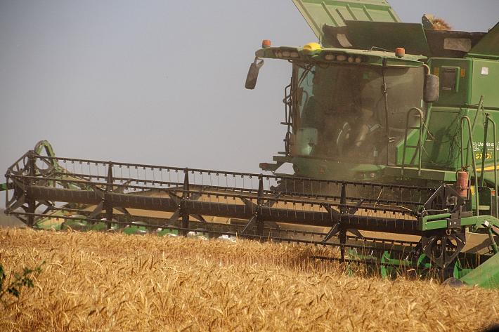 Une moissonneuse-batteuse en train de récolter du blé