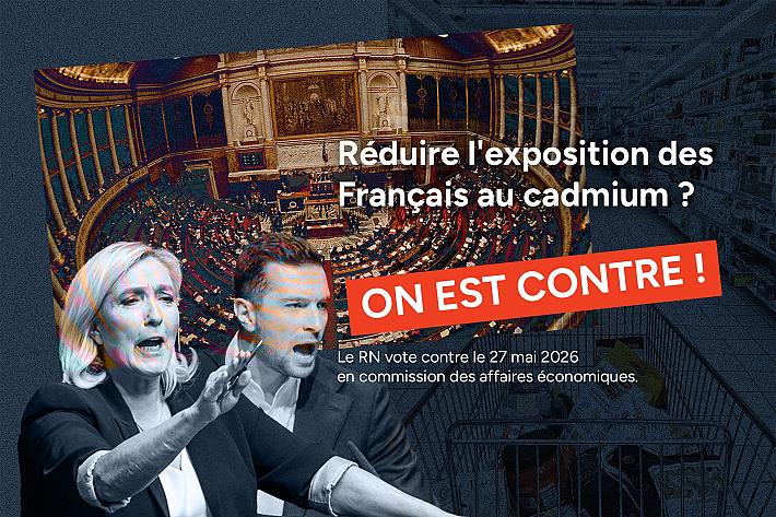 photomontage du média indépendant basta dans lequel on voit Marine Le Pen et Jordan Bardella devant l'Assemblée nationale