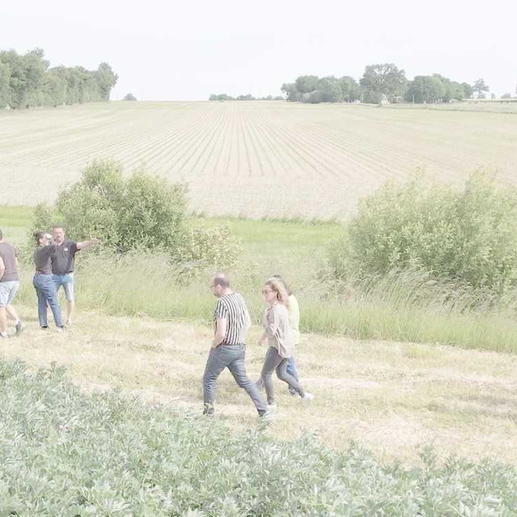 des femmes et hommes marchent sur des parcelles agricoles entourées de bosquets