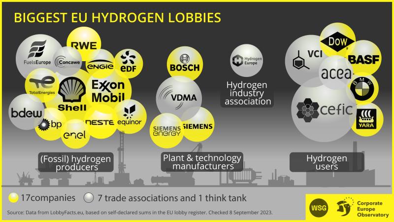 Un schéma qui montre les logos de grandes entreprises : RWE, Bosch, Exxon Mobil, Shell, EDF, BP, BASF… classés en producteurs d'hydrogène fossile, fournisseurs de technologies, et usagers d'hydrogène.