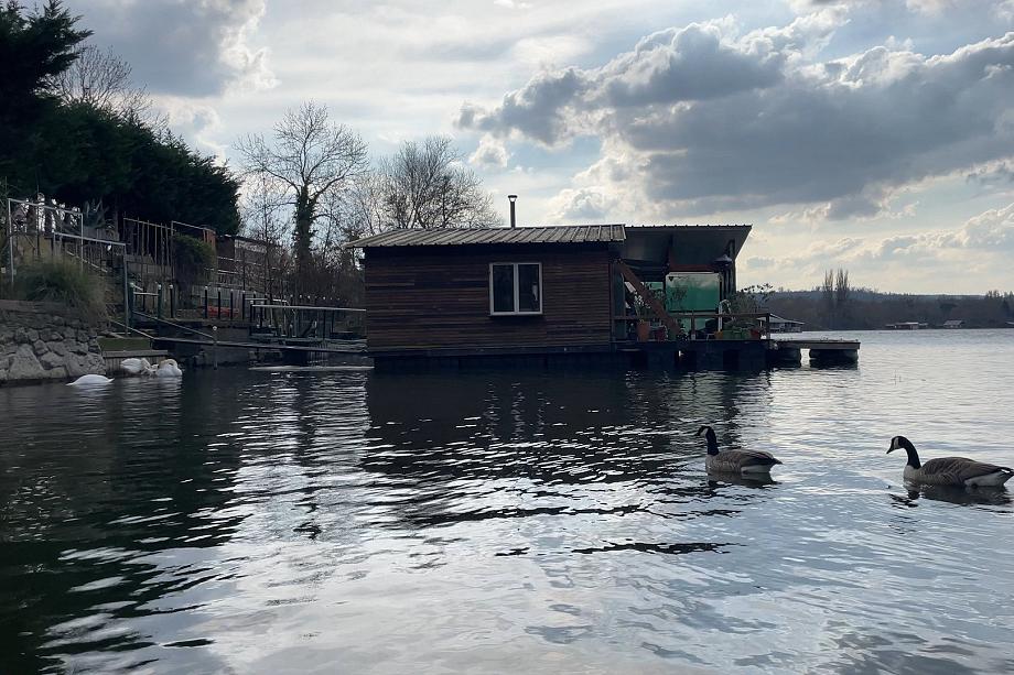 Une cabane flottante sur un étang, deux canards sur l'eau passent devant