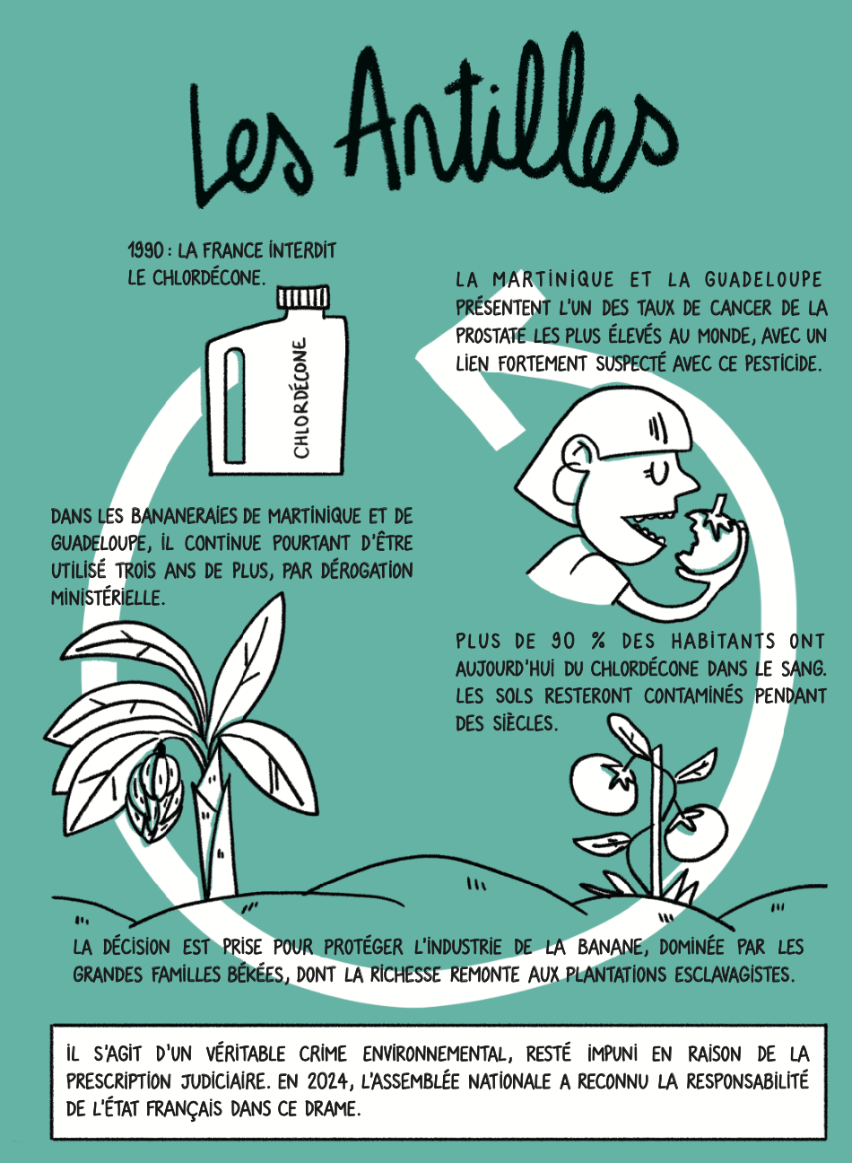 planche de bande dessinée sur les Antilles et le cas du chlordécone
