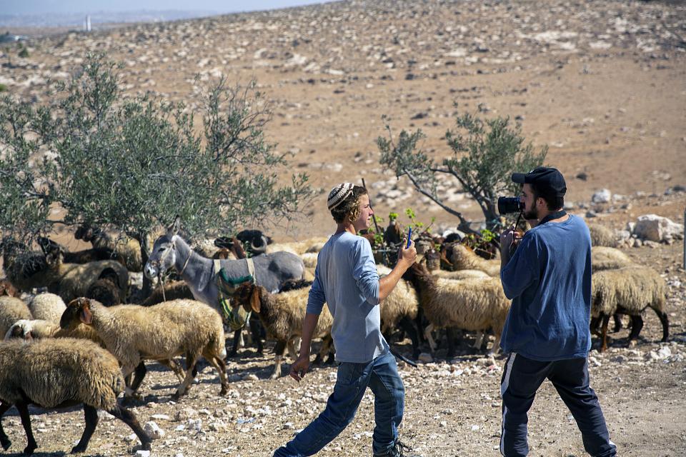Un jeune homme devant son troupeau de moutons, face à un activiste israélien