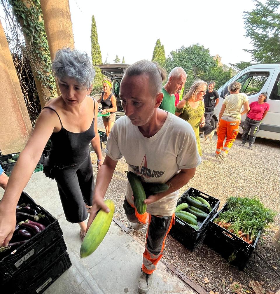 un hommes livre des cagettes de légumes entouré de bénévoles.