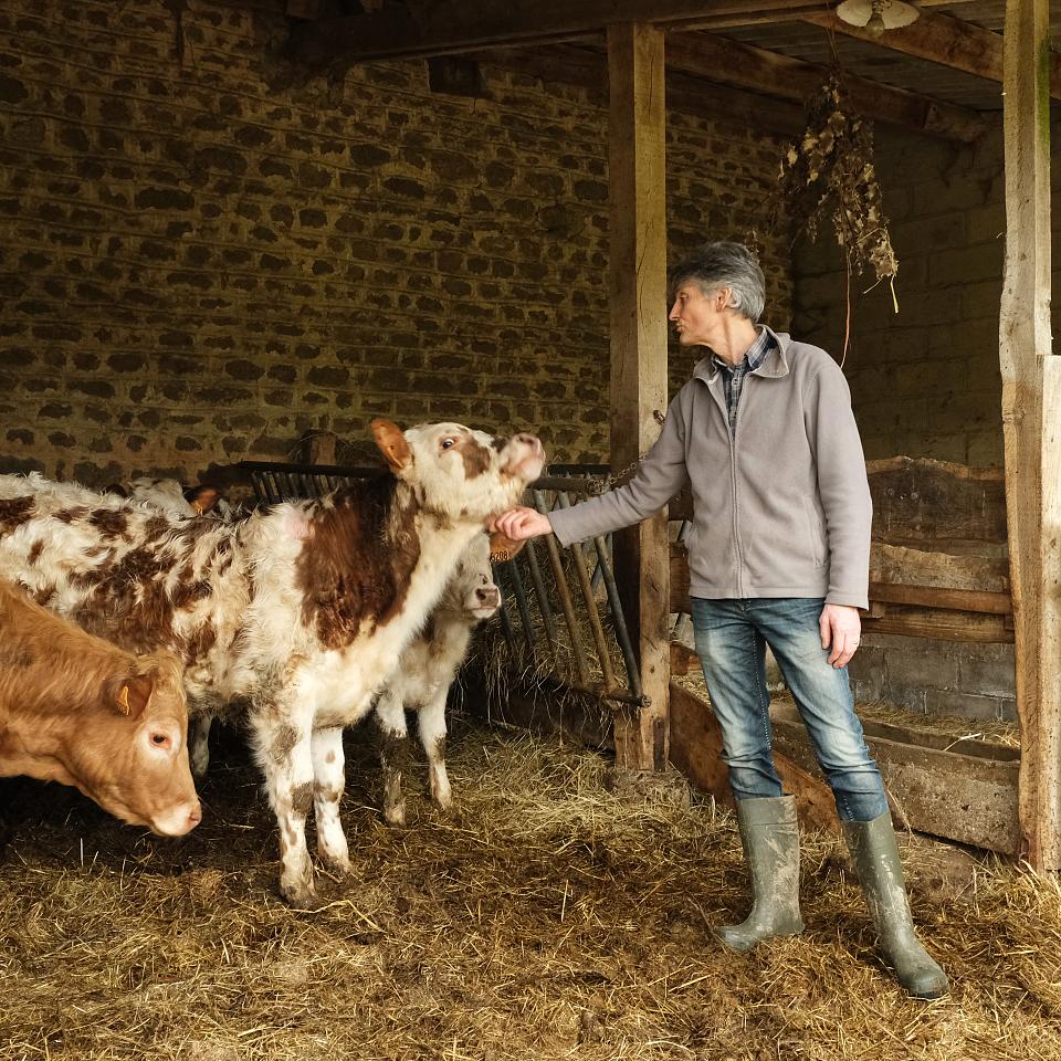 Un homme en bottes carresse une de ses vaches