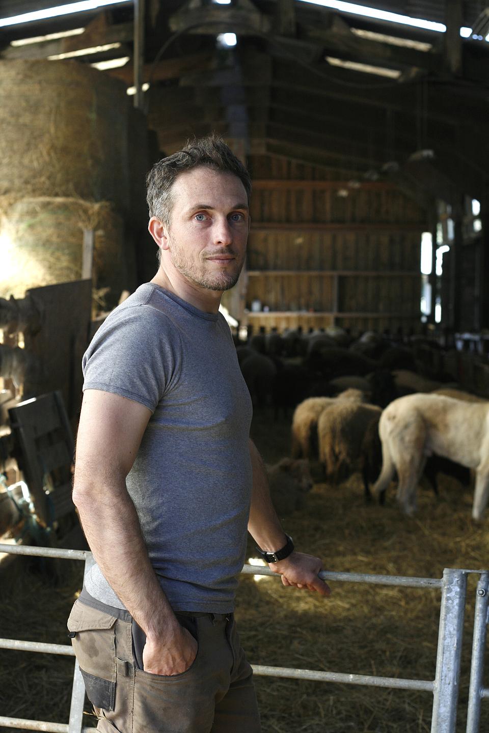 Un homme debout en t-shirt devant un enclos de moutons.