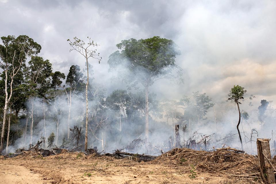 Un incendie de forêt.