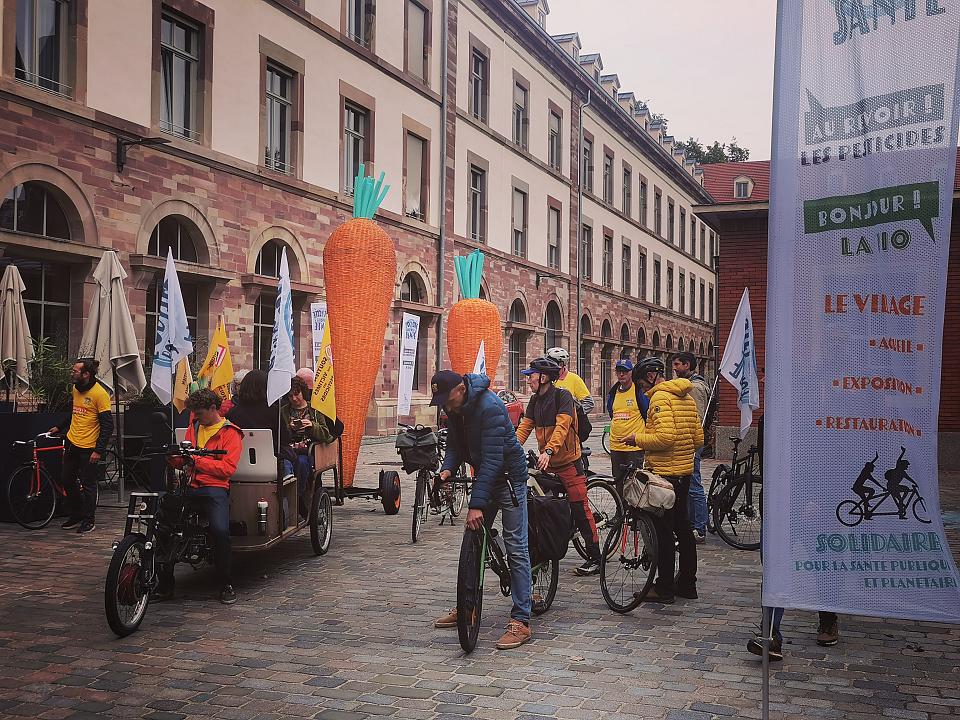 des femmes et des hommes en vélo avec des carottes géantes