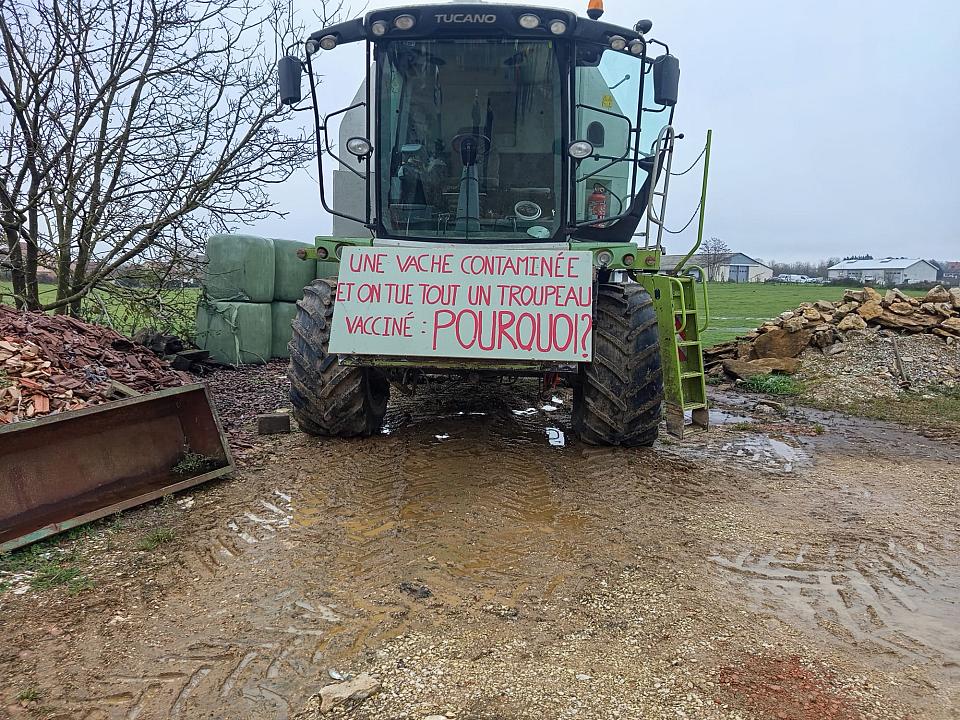 Une pancarte "une vache contaminée et on tue tout un troupeau vacciné, pourquoi" est arborée sur un engin agricole