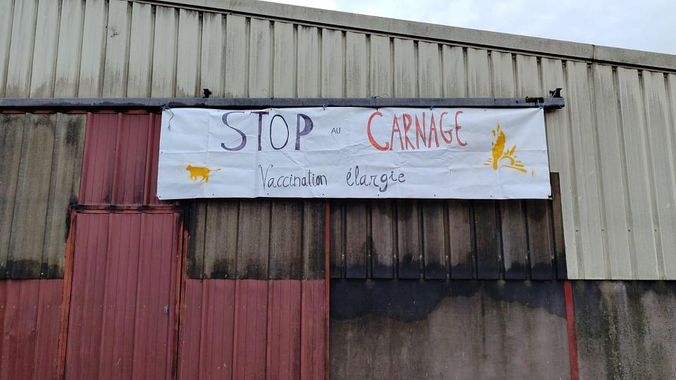 Une banderole "Stop au carnage : vaccination élargie" déployée sur une ferme