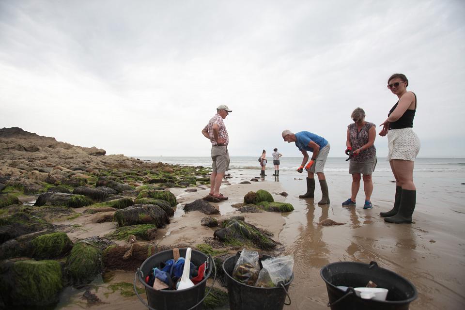 Sur une plage du Cotentin, des patelles, des mollusques, des algues, de l'eau de mer et du sable sont prélevés par des volontaires. La présence de radioactivité sera mesurée en laboratoire.
