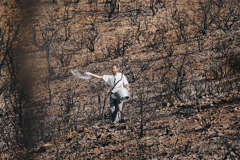 Un homme sème à la volée au milieu d'une friche viticole calcinée.