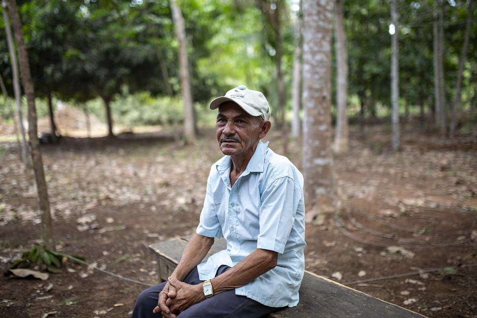 Un homme assis sur un banc dans la forêt