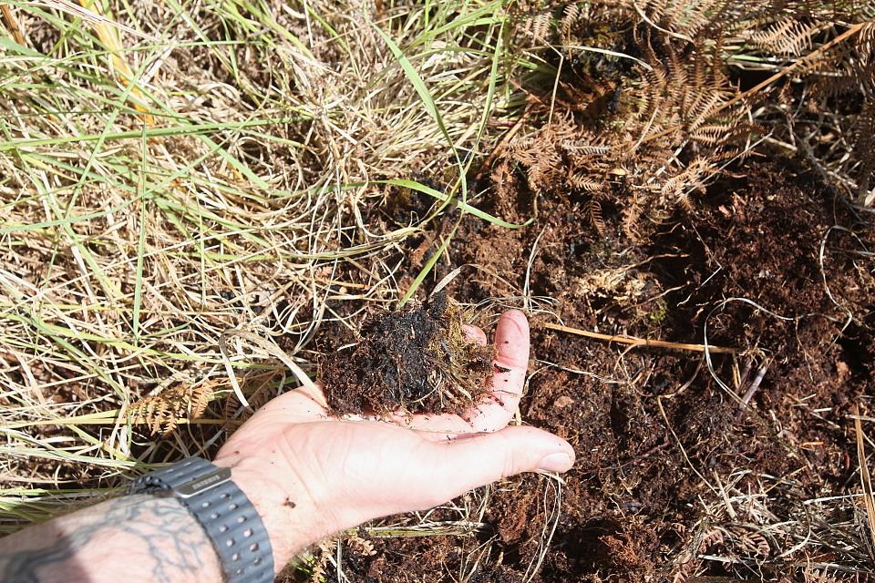 Une main en gros plan ramasse un petit tas de terre au sol. 