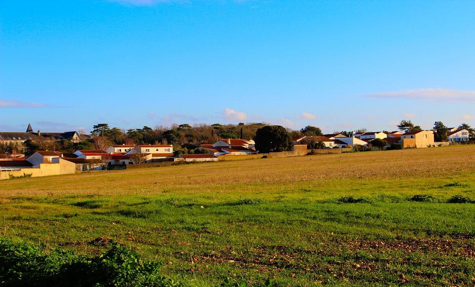 parcelle agricole longeant des habitations