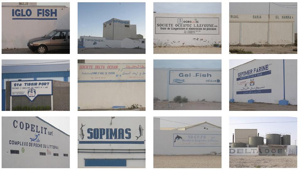 Montage de devanture d'usine de poissons du Sahara occidental.