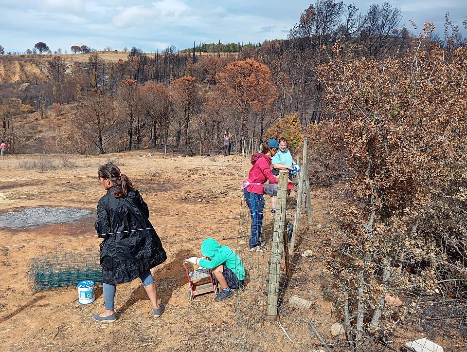 des femmes reconstruisent une clôture détruite par les incendies