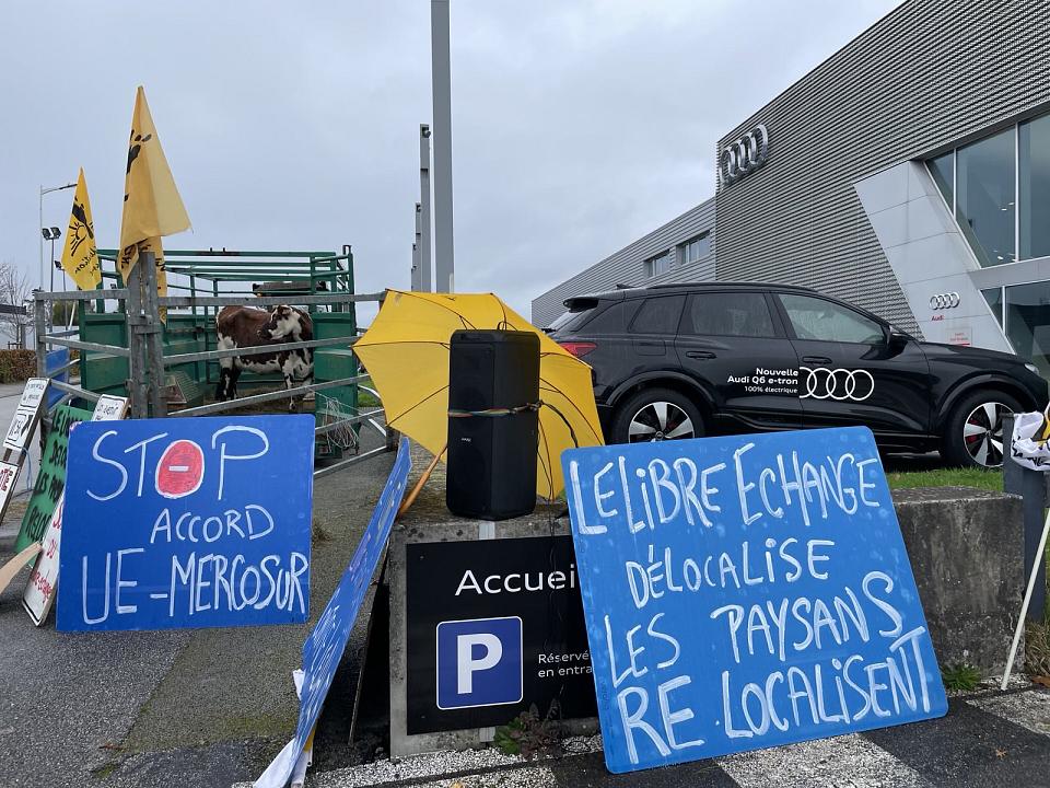 des panneaux "stop accord UE-Mercosur" devant des vaches face à un autre panneau "le libre échange délocalise, les paysans relocalisent", devant des voitures