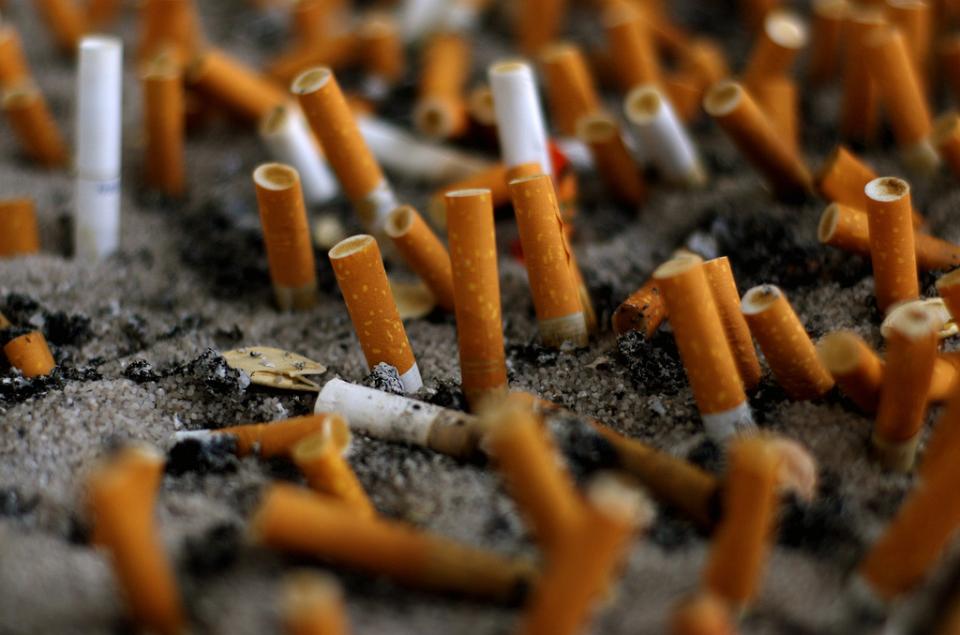 Industrie du tabac : des investissements toujours florissants malgré les  conséquences délétères sur la santé