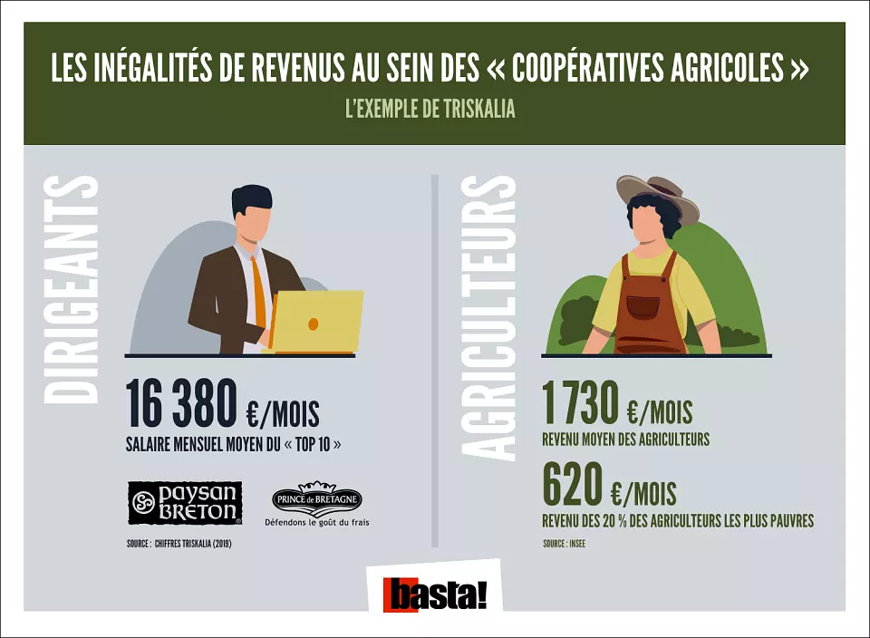 « Mieux vaut que tu ne saches pas » : les confortables revenus des dirigeants des coopératives agricoles