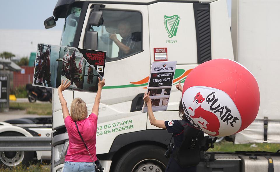 Deux femmes tiennent des pancartes devant un camion qui passe. On voit le conducteur du camion dans sa cabine qui lève le pouce. 