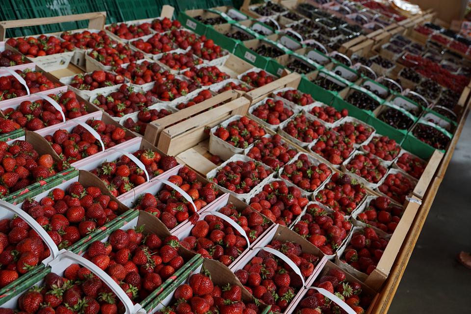 Des étals de fraises. 