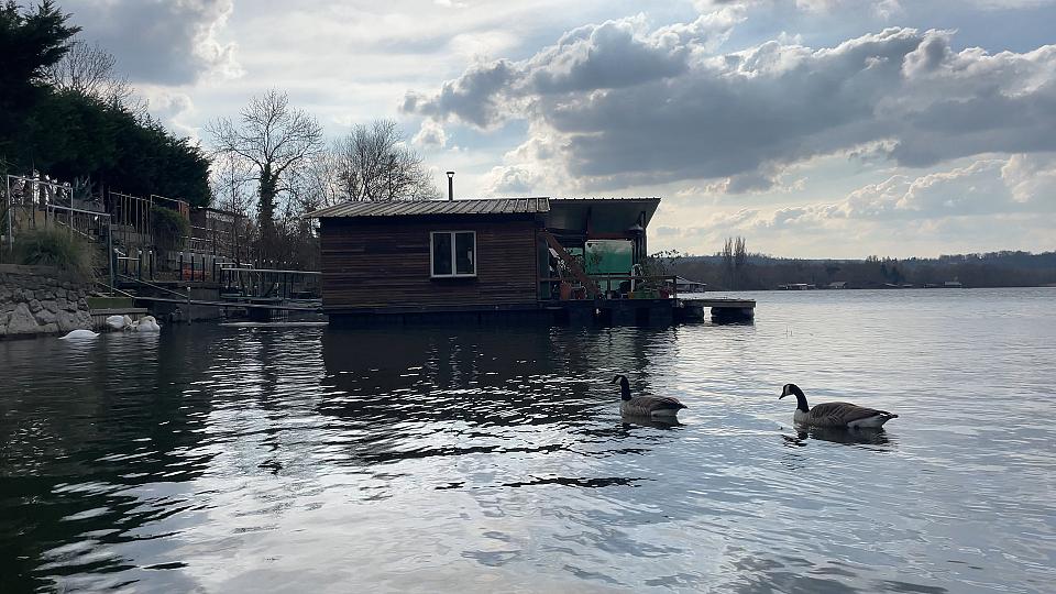 Une cabane flottante sur un étang, deux canards sur l'eau passent devant