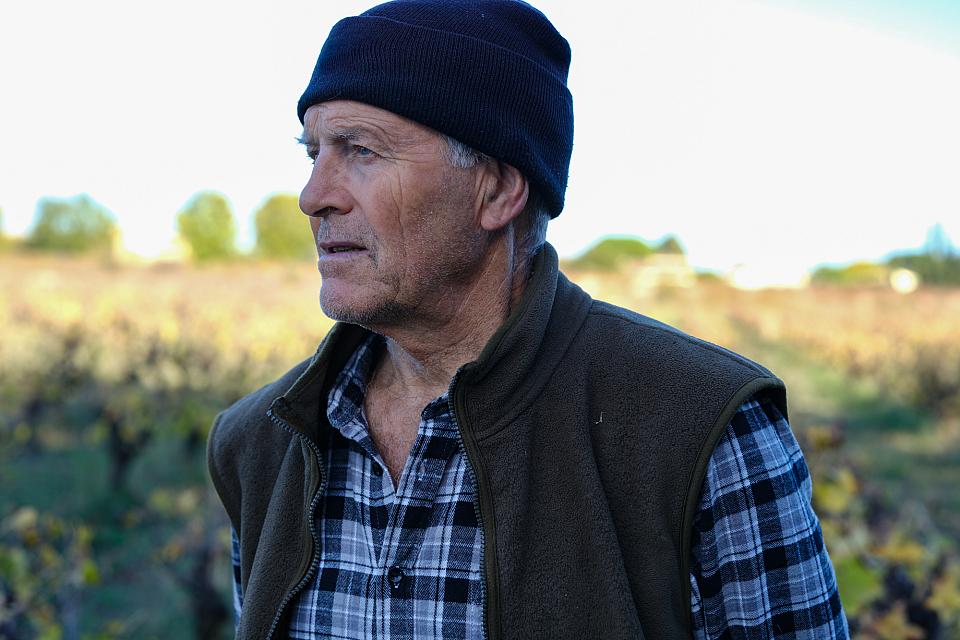 Un homme vu de profil, dehors devant des vignes, regarde au loin.