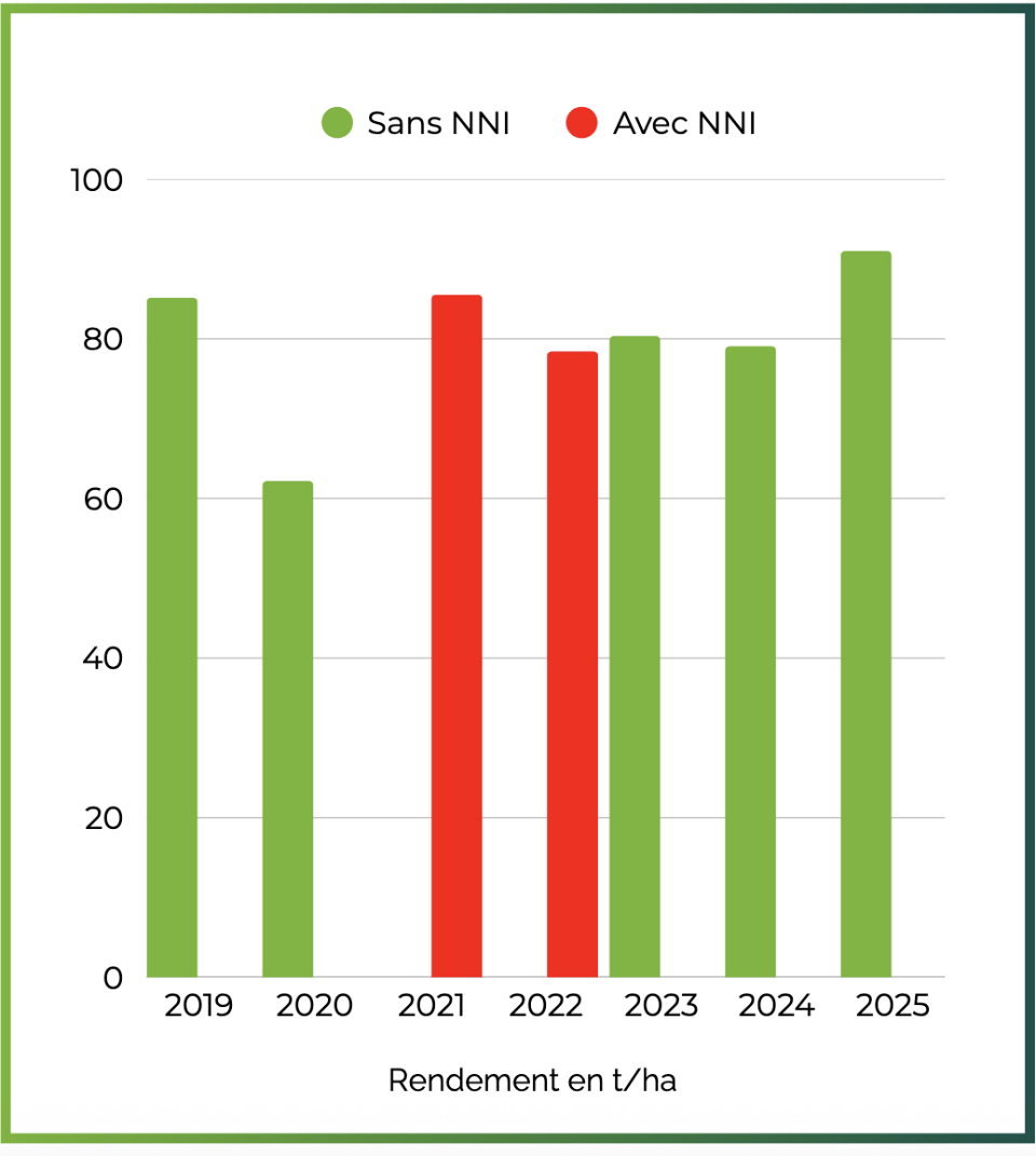 graphique sur le rendement de la filière betterave sucrière "sans NNI" (sans néonicotinoïde) et "avec NNI" (avec néonicotinoïde)