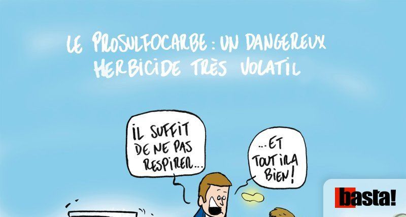 Prosulfocarbe : deux tiers des fruits et légumes contaminés dans des jardins potagers