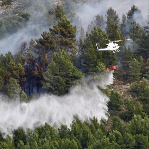 Un hélicoptère survole une forêt en flammes. 