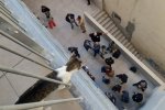 Un chat vu du dessus regardent depuis un balcon une groupe de personne dans une coursive en bas d'un immmeuble.