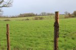 prairies entourées par des clôtures