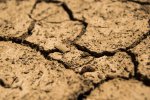 sols complètement asséchés