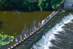 Une file de personnes vue du dessus traverse une rivière en marchand sur des pierres. 