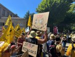 une foule brandit des pancartes 