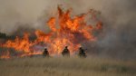 Trois pompiers, debout dans les herbes hautes, face à des flammes 