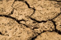 sols complètement asséchés
